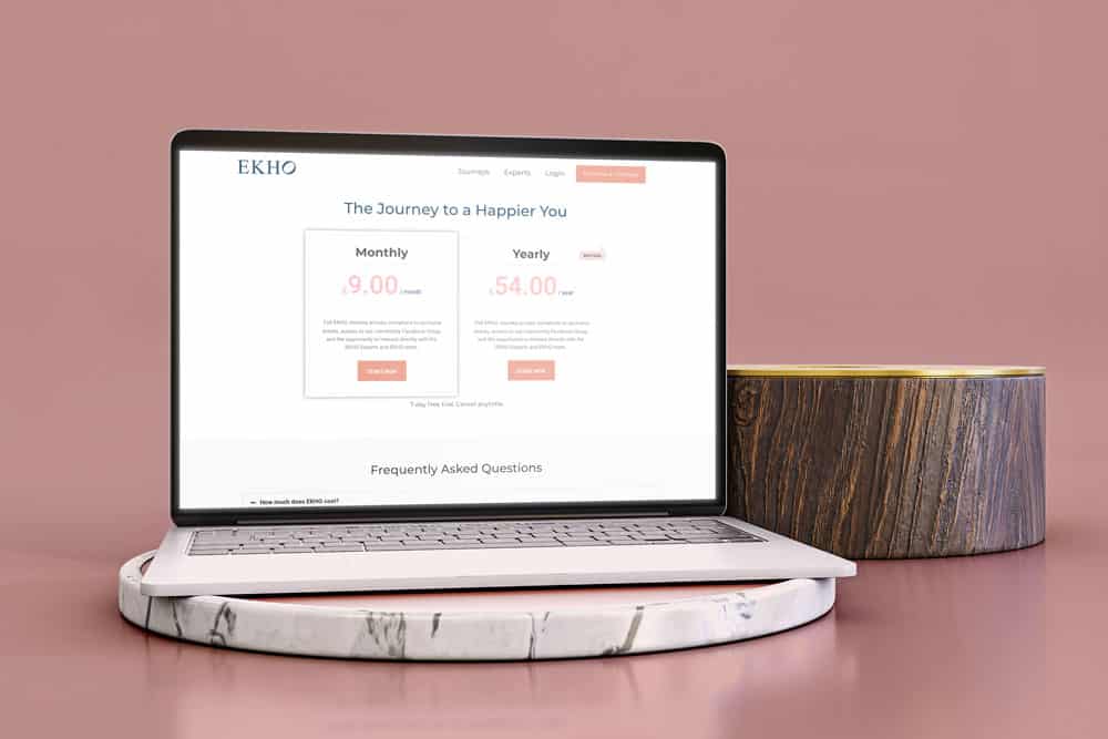 Ekho-website-design